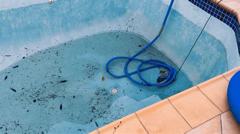 most common above ground pool leaks|Common Above Ground Pool Leaks